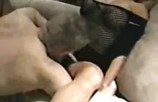 XXX Dentro videos hd sexo oral de una pulgada