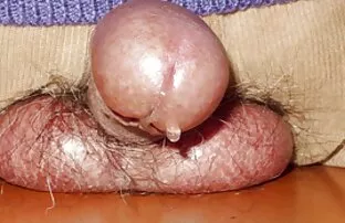 XXX Solo videos de sexo oral casero gratis un Meme hace un poco de todo solo para ti